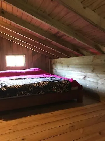 Holiday home Cabanas No Meio A Natureza Garopaba